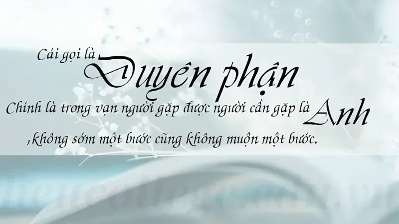stt duyên nợ