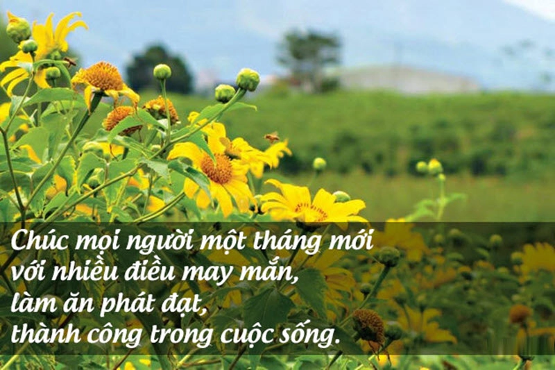 Mùng 1 đầu tháng – Khi lời chúc trở thành “liều vitamin tinh thần”