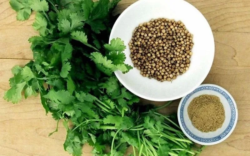 Ngò rí tiêu đen đường phèn ngâm rượu: Lợi ích & cách làm