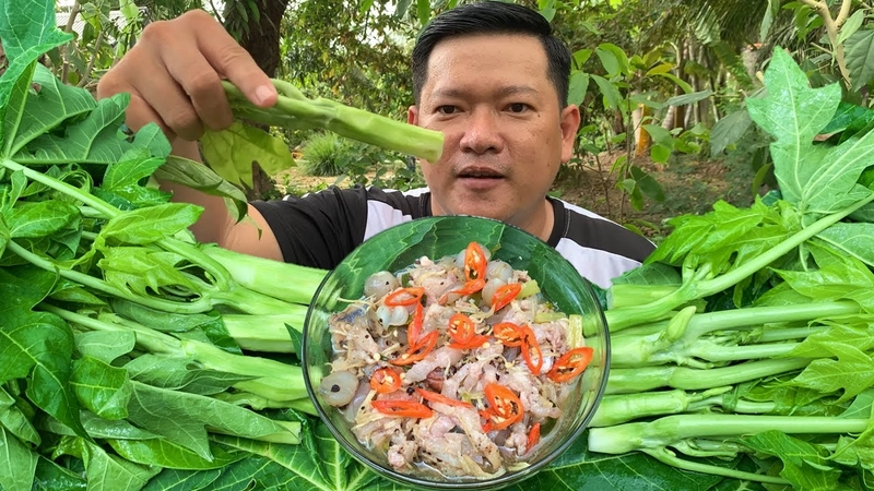 Đọt đu đủ ăn được không? Sự thật khiến bạn bất ngờ