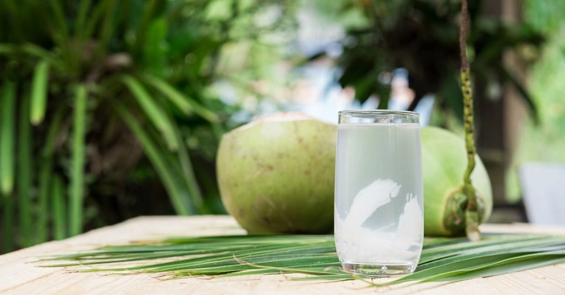 Nước dừa – “giọt mát lành” từ thiên nhiên cho cơ thể