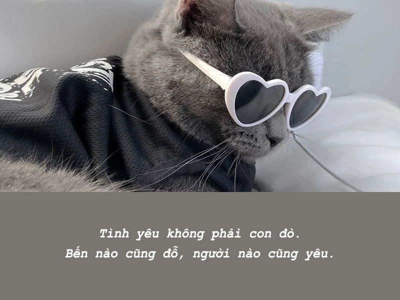 Sự thật phũ phàng về tình yêu