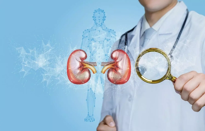 Uống thuốc bổ thận vào giờ nào là tốt nhất