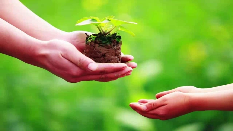 Câu nói hay về sự cho đi truyền cảm hứng sống đẹp