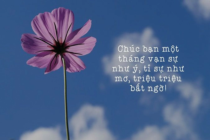 Lời chúc đầu tháng cho khách hàng sang trọng