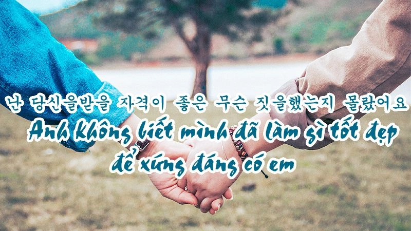 177+ STT Tiếng Hàn Về Tình Yêu Buồn Chạm Đến Trái Tim