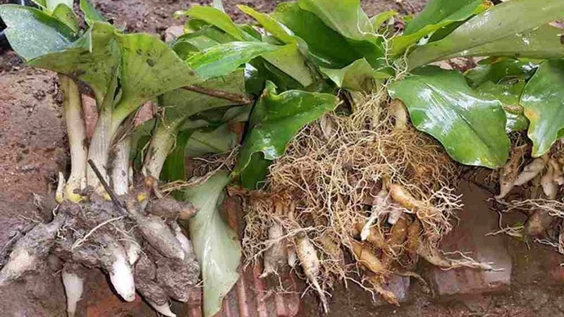 Những lưu ý quan trọng cha mẹ không nên bỏ qua