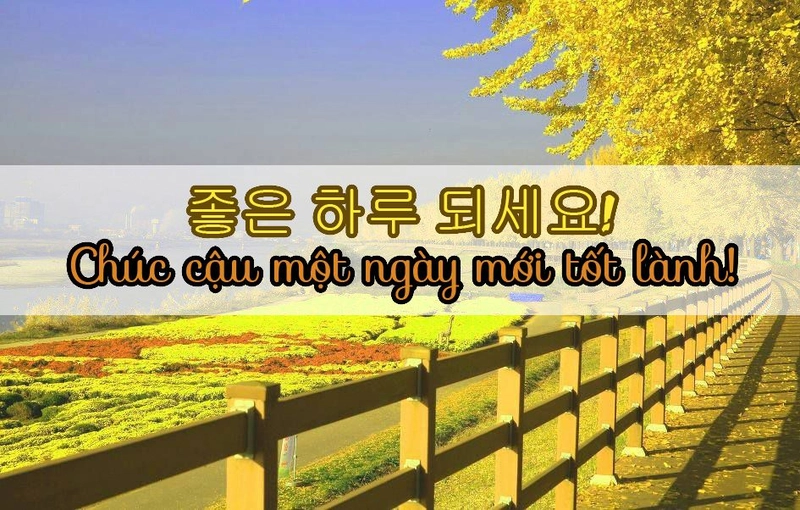 STT tiếng Hàn về tình yêu buồn ngắn gọn nhưng đầy cảm xúc