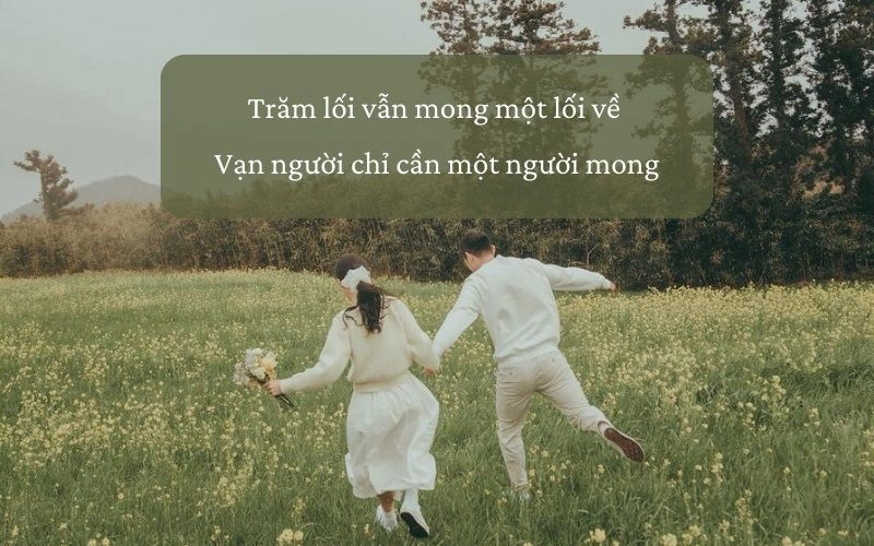 Stt cô đơn chờ tình yêu