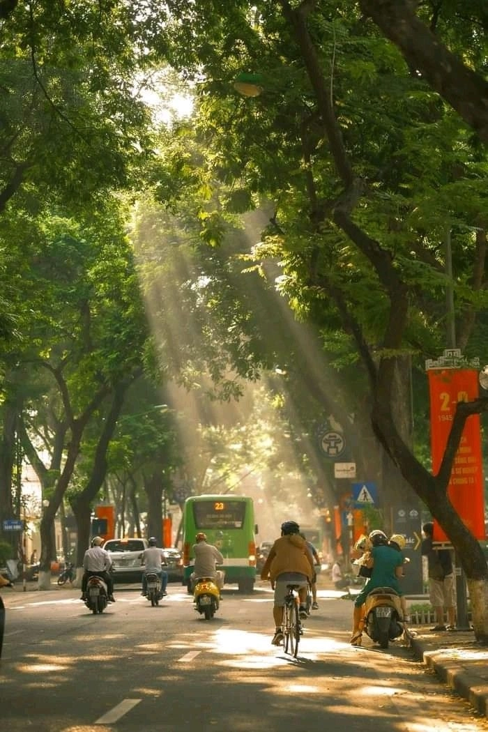Stt đi lang thang một mình cực thấm