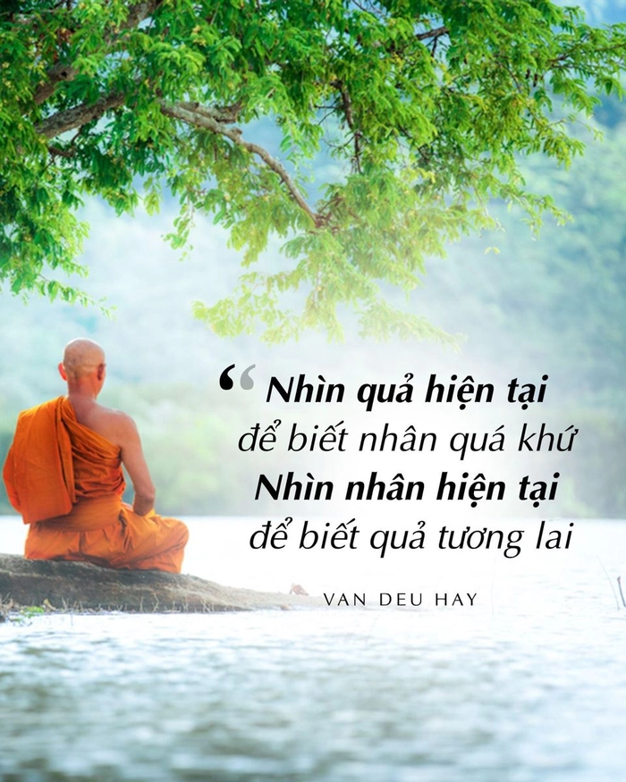 Stt gieo nhân nào gặt quả ấy về cuộc sống