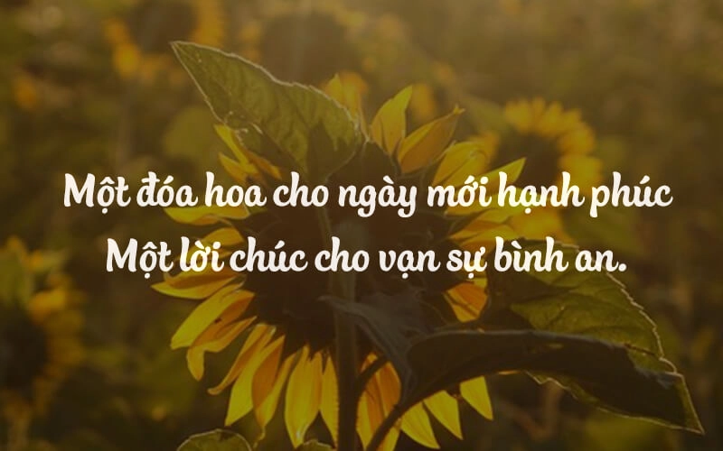 Stt hy vọng may mắn để đăng mạng xã hội