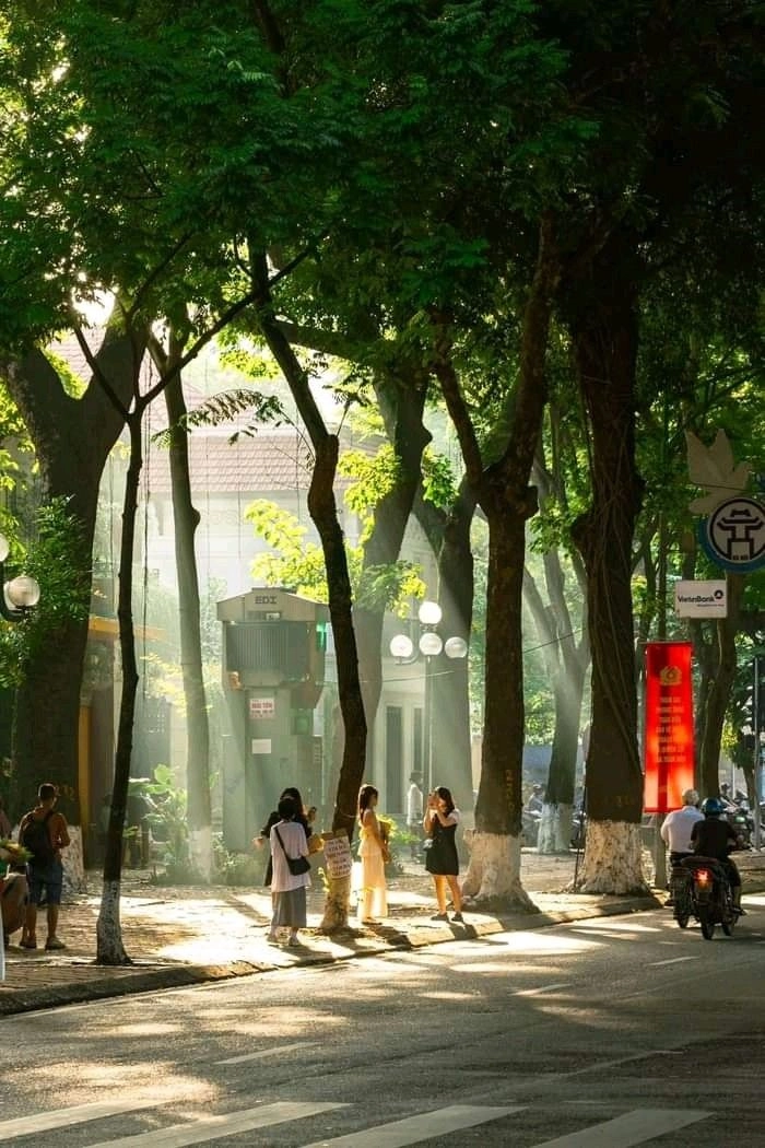 Stt lang thang trên phố ngắn gọn nhưng sâu lắng
