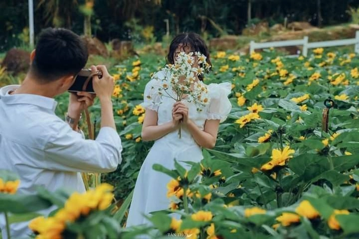 Stt về chụp ảnh sống ảo