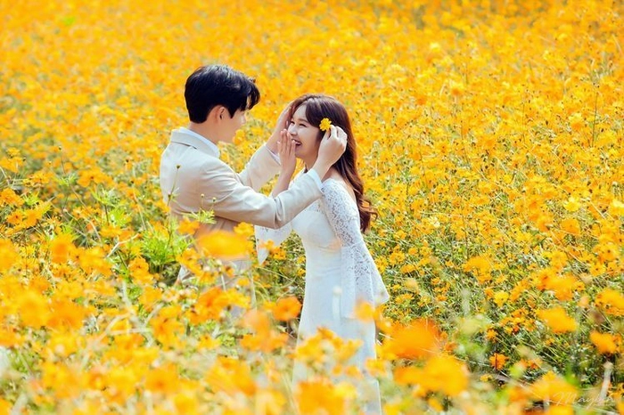 Thơ ngắn về tình yêu hạnh phúc