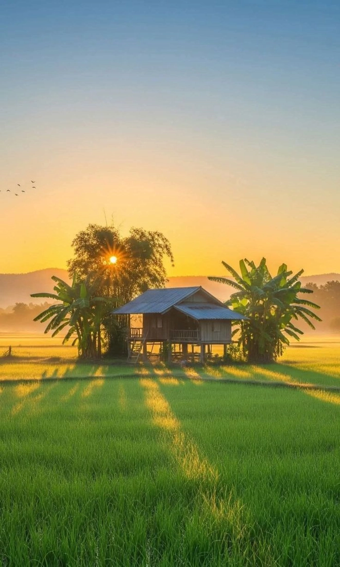 Vì sao những stt về cuộc sống bình yên được nhiều người yêu thích