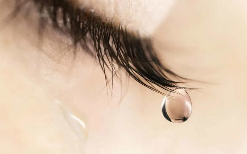 đôi mắt buồn
