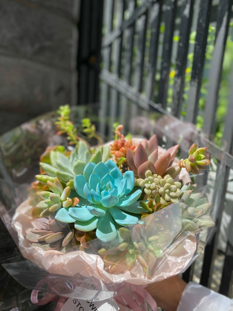 sen đá luôn khiến người ta yêu mến