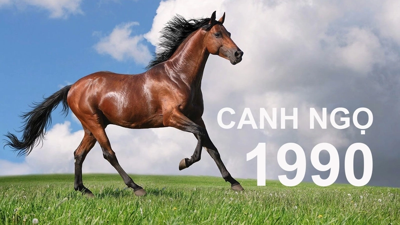 Tuổi Canh Ngọ nên đeo mặt dây chuyền hình gì